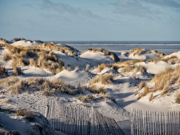 Explorer les espaces dunaires