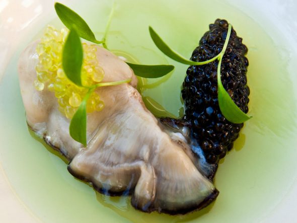 Paradis des papilles