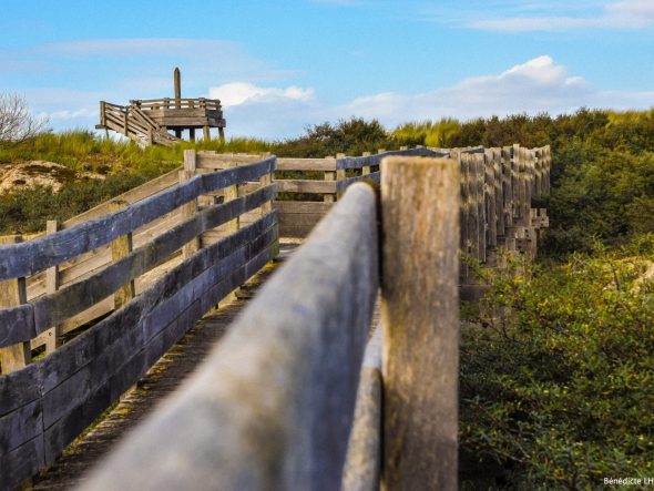 Communiqués de presse