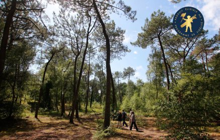 Visite guidée - Balade sensorielle en forêt Le 16 juin 2024