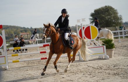 Equitation – Tournée des As Poneys