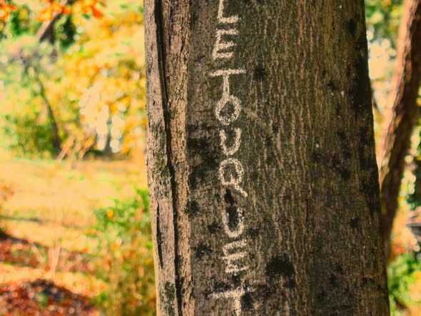Le Touquet aux couleurs de l&rsquo;été indien