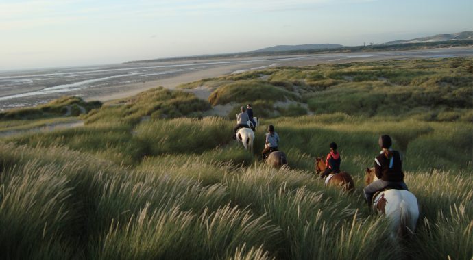 Vivre toutes les émotions de l’équitation