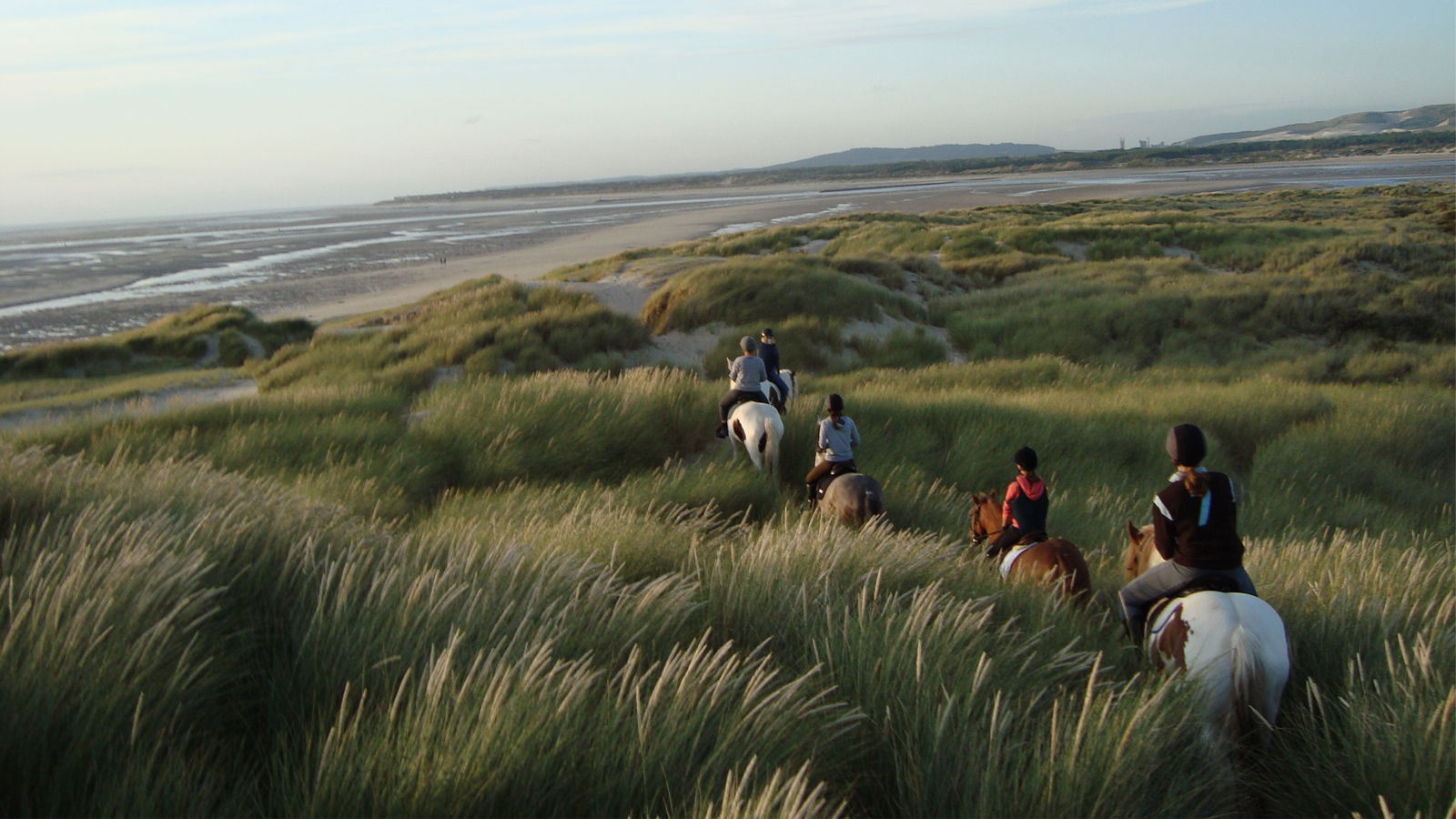 Vivre toutes les émotions de l’équitation