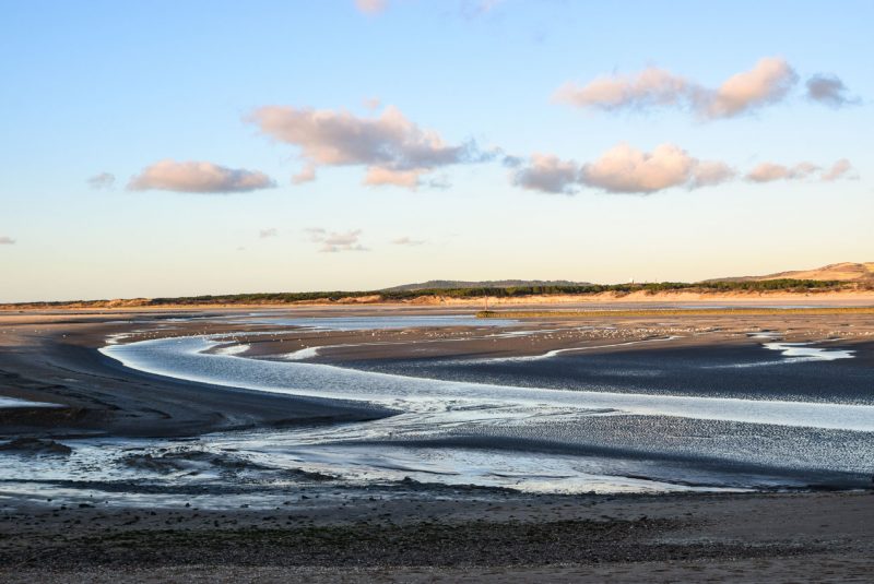 Réserve de la Baie de Canche