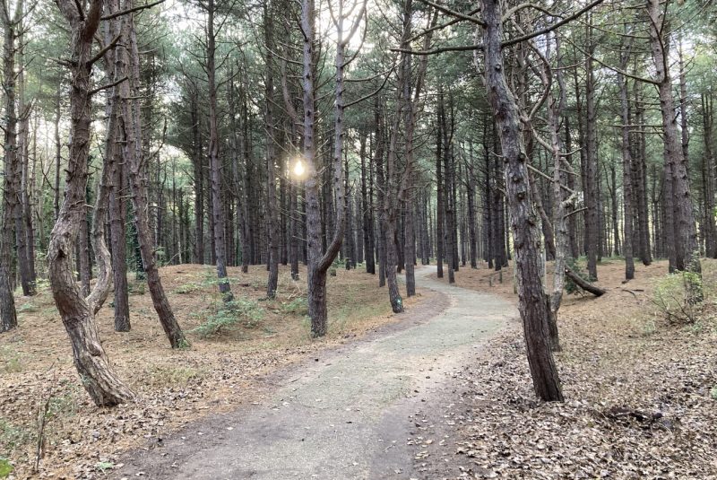 Parc Nature de la Baie de Canche ©Lucas ROSEUW