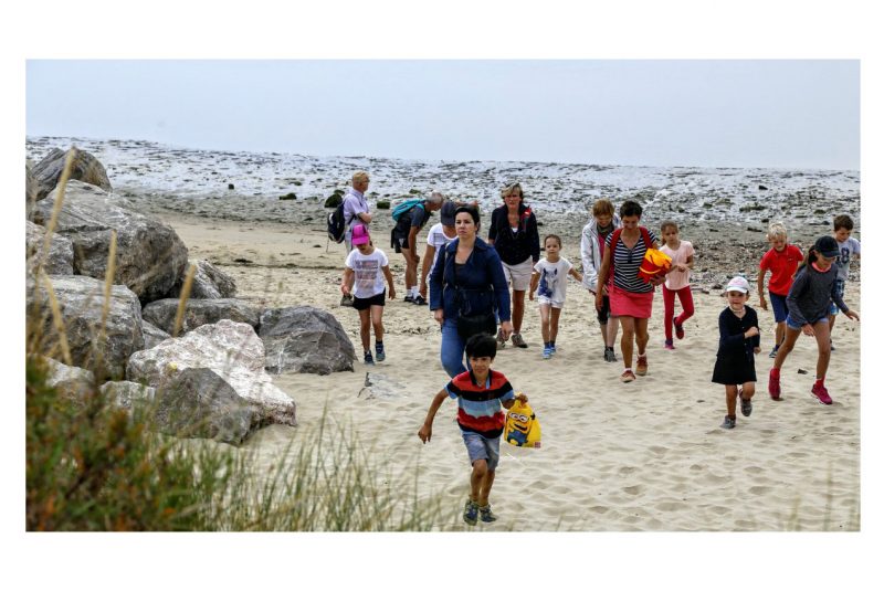 Atelier enfant : La laisse de mer, un trésor déposé sur la plage