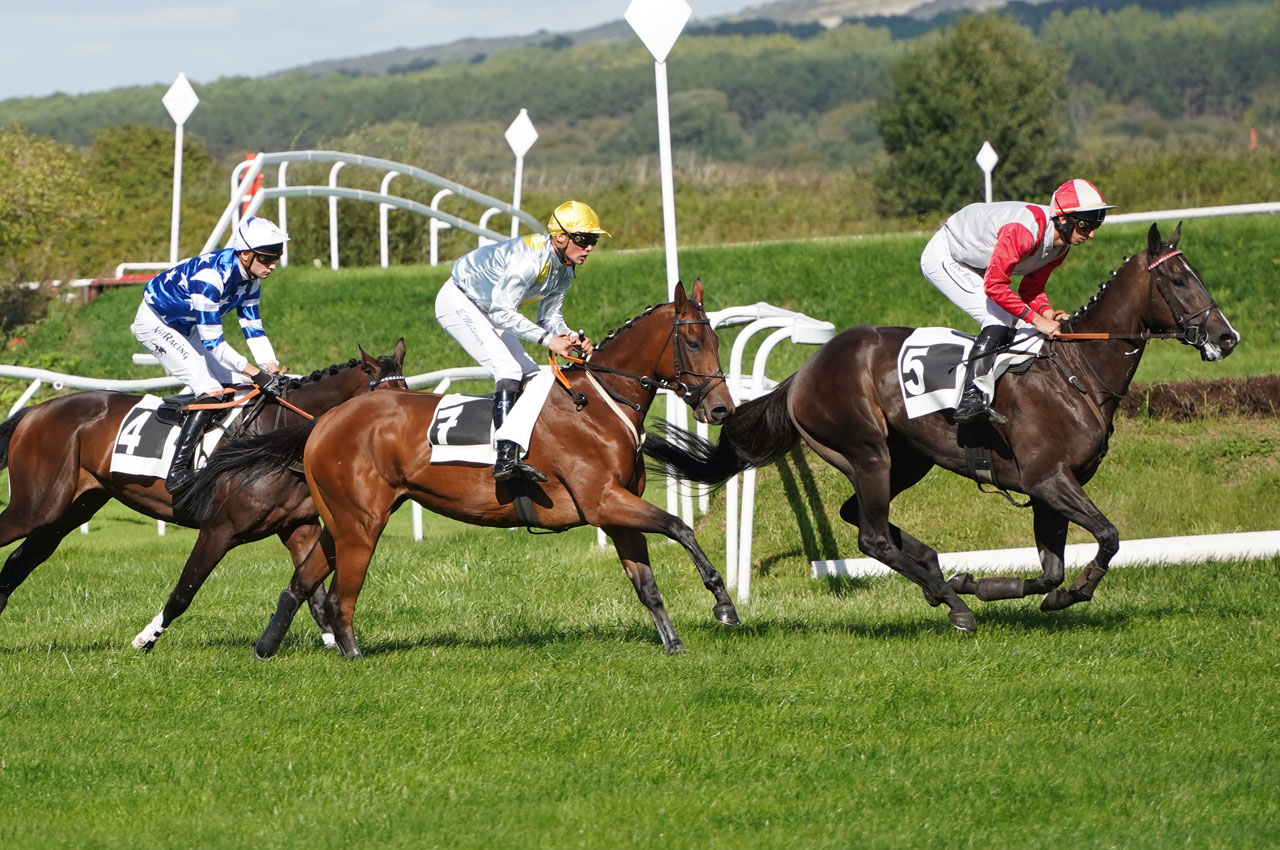 paris en direct sur les courses de chevaux
