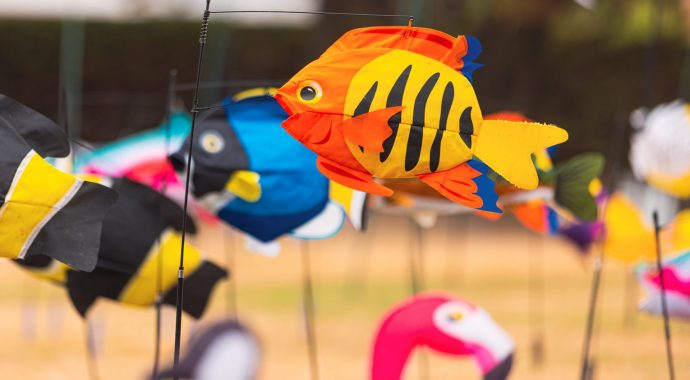 Festival des tout petits