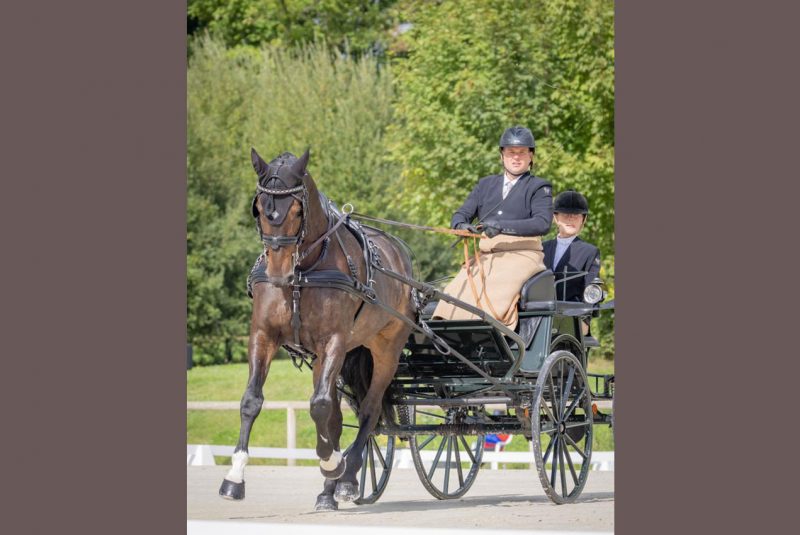 Concours attelage