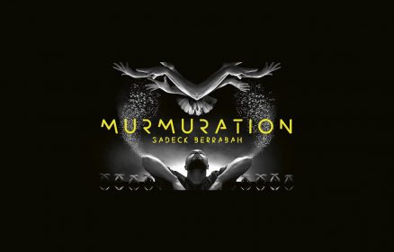 Spectacle « Murmuration – Level 2 »