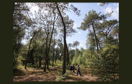 Atelier famille – Quand la nature s&rsquo;imprime dans l&rsquo;argile