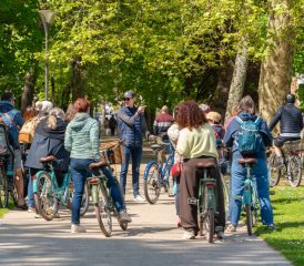 Visites guidées
