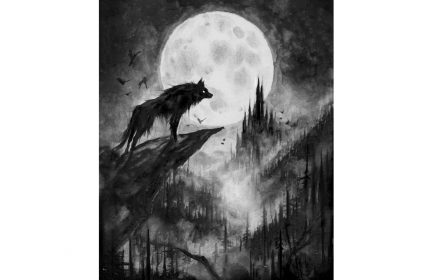 Jeux « Nuit des loups-garous »