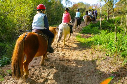 Chasse aux oeufs – animation poneys