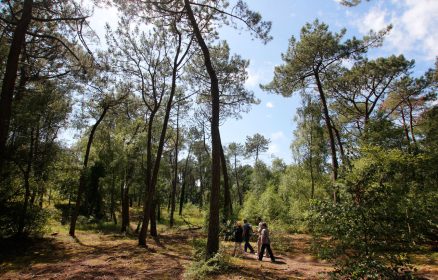 Atelier famille – Quand la nature s&rsquo;imprime dans l&rsquo;argile