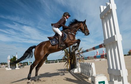 Equitation – Concours de Saut d’Obstacles Amateur / Pro