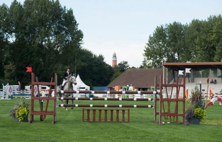 Equitation – Concours de saut d’obstacles