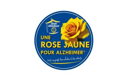 Une rose jaune pour Alzheimer